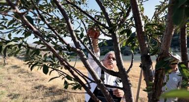 Talas'ın Bahçıvan Başkanı