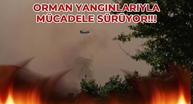 Ülke genelinde devam eden orman yangınlarını söndürme çalışmaları sürüyor