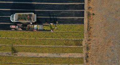 10 soruda işlenmeyen tarım arazilerinin kiraya verilmesi