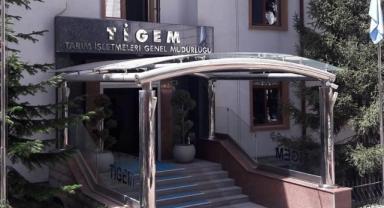 TİGEM 20 bin ton koyun sütü satacak