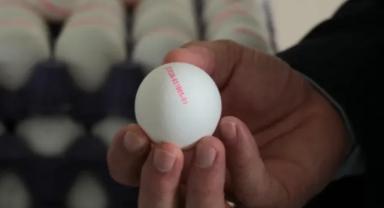 Yumurtaların üzerindeki numaralar tavuğun yetiştirilme metodunu gösteriyor