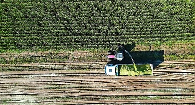 Çiftçilere yaklaşık 150 milyon liralık destekleme ödemesi yapılacak