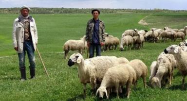 Üreticiyi 'ithal çalışan' konusunda rahatlatacak adım: Yabancı çalışanların çalışma süreci düzenlendi