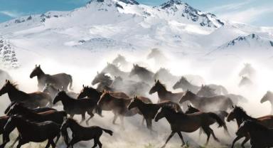 Valilik ve Büyükşehir’den “Hürmetçi Sazlığı” İçin İş Birliği