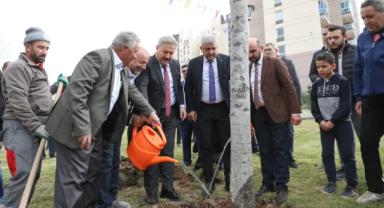 Melikgazi'de Fidan değil, Ağaç dikiyoruz