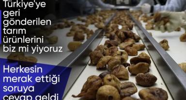 İhracattan geri dönen ürünlerin imha edildiği açıklandı