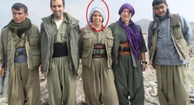 SON DAKİKA: MİT'ten Kamışlı'da nokta operasyon