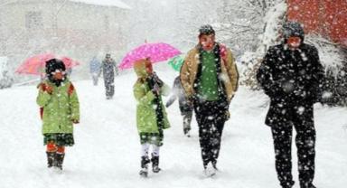 Kar yağışı nedeniyle okulların tatil edildiği iller