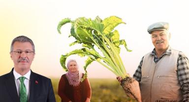 Kayseri Şeker Pancar Bedeli Ödemeleri Takvimi Belli Oldu