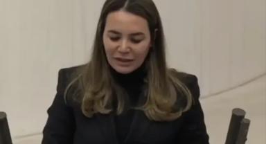 TBMM'de Kürtçe gerilimi