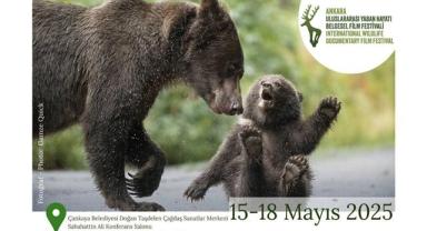 Çankaya'da Vahşi Yaşam Film Şöleni: Ücretsiz!