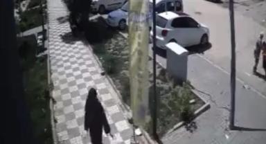 Sokak Köpekleri Yine Saldırdı: Bu Kez Gaziantep'te