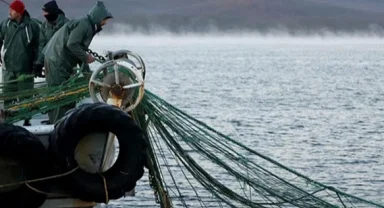 251 milyon liralık destek hesaplara yattı