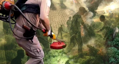 Diyarbakır'da uzaktan algılama ile zehir tacirlerine geçit verilmedi! Milyonlarca kök kenevir ele geçirildi