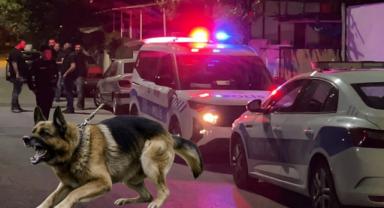 Kayseri'de sokak köpeği yine çocuğa saldırdı!