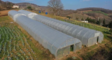 Kocaeli'den yüzde 50 hibeli sera desteği