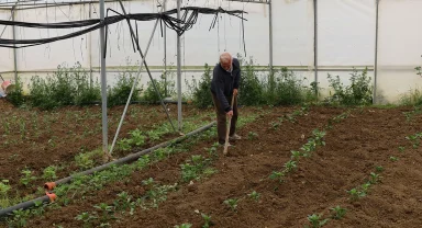 Kocaeli’nde üreticilere yüzde 50 hibeli modern sera desteği