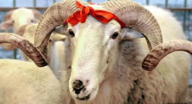 Kurban Bayramı tatil takvimi belli oldu