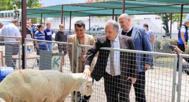 Başkan Yalçın'dan Kurban Pazarı ziyareti