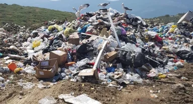 İzmir Büyükşehir'e 9,3 milyon TL çevre cezası