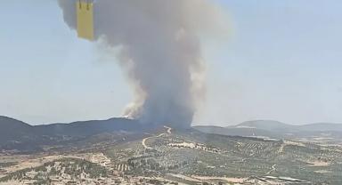 İzmir'de orman yangını çıktı!