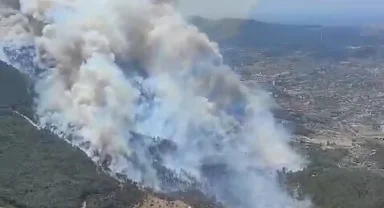 İzmir Menderes’te orman yangını... Havadan ve karadan müdahale sürüyor