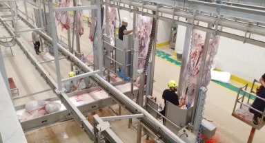 Kurbanlar Kocaeli'nin modern mezbahasında kesiliyor