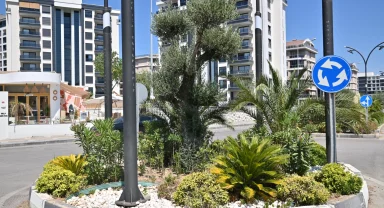 Manisa’da kurakçıl peyzajla su tasarrufu