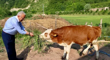 Ordu Büyükşehir besicilerin yüzünü güldürdü
