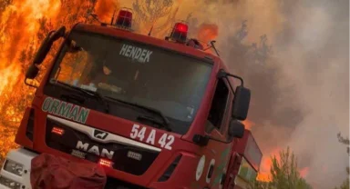 Orman'dan çağrı: 'Ormanın Kahramanları’na yol verin