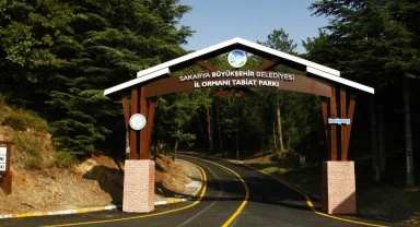 Sakarya’da tabiatın harikasına bayramda ziyaretçi akını 