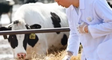 Tarımsal girdiler Nisan'da da hız kesmedi... Veteriner harcamaları ve hayvan yemi revaçta