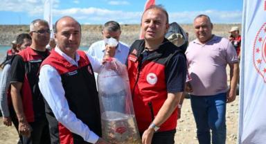1 milyon yavru sazan suya bırakıldı