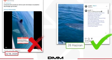 Antalya’da köpekbalığı iddiası dezenformasyon çıktı... DMM: O video Norveç’ten!