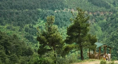 Bursa’da ormanlara giriş 15 Ekim'e kadar yasaklandı!