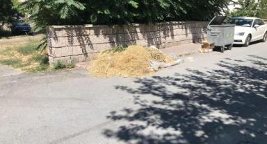 Kayseri Kocasinan'da 15 gündür alınmayan çöp mahalleliyi isyan ettirdi