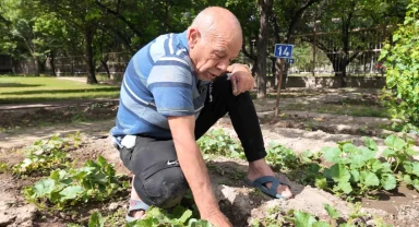 Kayseri'nin Ulu Çınarları'ndan bitki şov