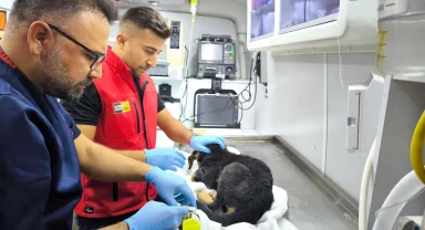 Konya İtfaiyesi’nden yürekleri ısıtan kurtarma operasyonu