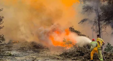 OGM: 86 milyonun dikkati şart!