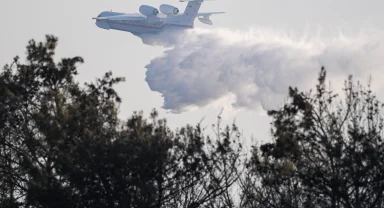 Orman yangınlarında adli soruşturma ve tutuklamalar sürüyor