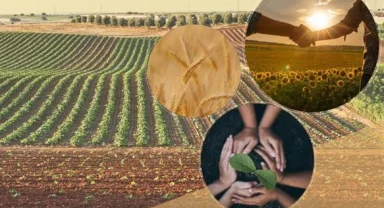 Tarımsal örgütlere yönetmelik ayarı