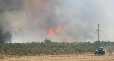 Tekirdağ'da yangın alarmı!