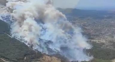 Türkiye alev alev: 5 Günde 342 orman yangını!