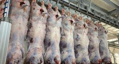 Türkiye’de Dana Eti Tüketimi Sürdürülebilir Seviyenin Üzerinde