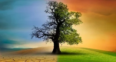 Türkiye'nin ilk İklim Kanunu TBMM'de yasalaştı