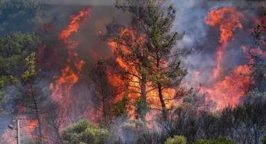 Türkiye'nin orman yangınlarla olan mücadelesi bitmiyor!