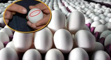 Yumurtada Yeni Uygulama: Son Tüketim Tarihi Yerine Tavsiye Edilen Tüketim Tarihi Yazılacak