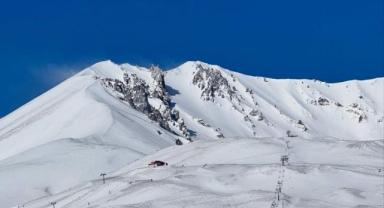 Çadırda ölü bulunan çiftin kimlikleri belli oldu