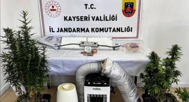 Evinde kenevir yetiştiren şüpheliye gözaltı