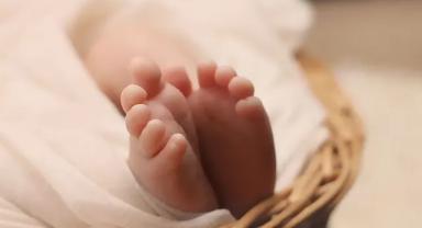 Türkiye nüfusu yaşlanıyor: Çocuk sayısı azalıyor, yaşlı nüfus artıyor